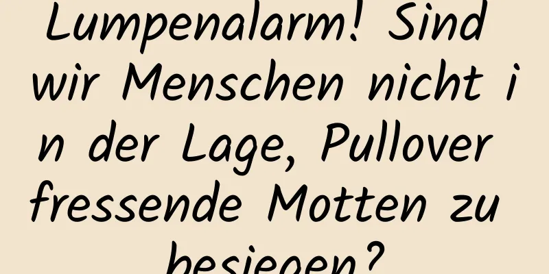 Lumpenalarm! Sind wir Menschen nicht in der Lage, Pullover fressende Motten zu besiegen?