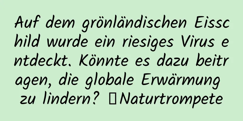 Auf dem grönländischen Eisschild wurde ein riesiges Virus entdeckt. Könnte es dazu beitragen, die globale Erwärmung zu lindern? ｜Naturtrompete