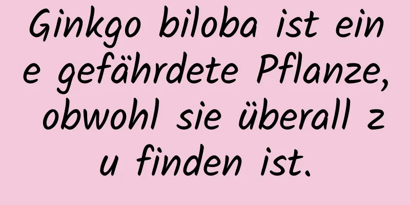 Ginkgo biloba ist eine gefährdete Pflanze, obwohl sie überall zu finden ist.