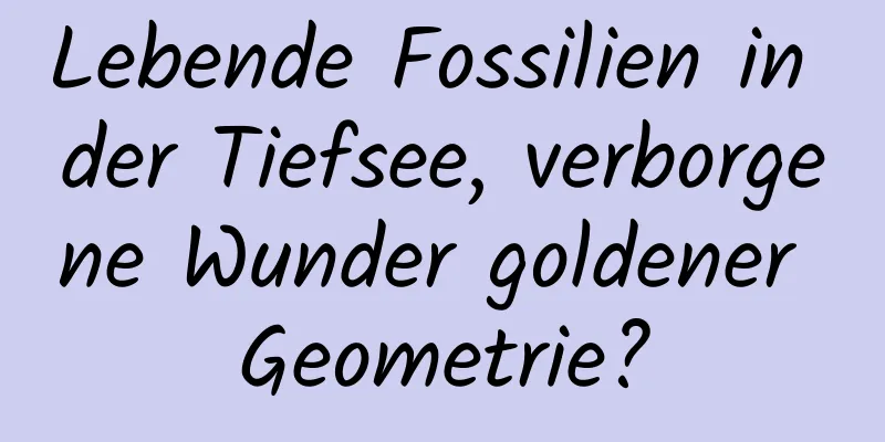 Lebende Fossilien in der Tiefsee, verborgene Wunder goldener Geometrie?