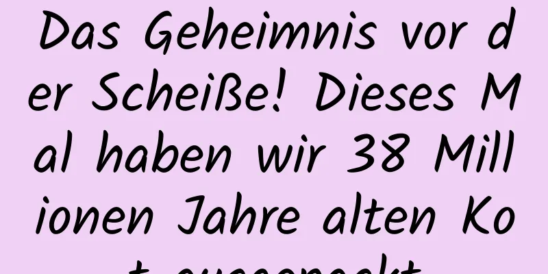 Das Geheimnis vor der Scheiße! Dieses Mal haben wir 38 Millionen Jahre alten Kot ausgepackt