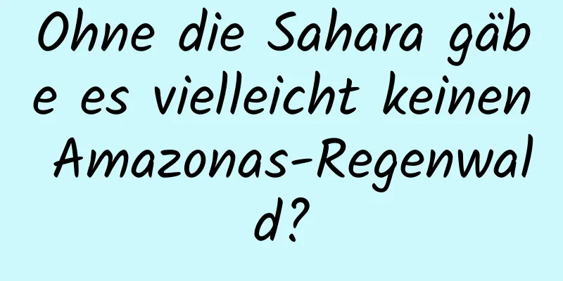 Ohne die Sahara gäbe es vielleicht keinen Amazonas-Regenwald?