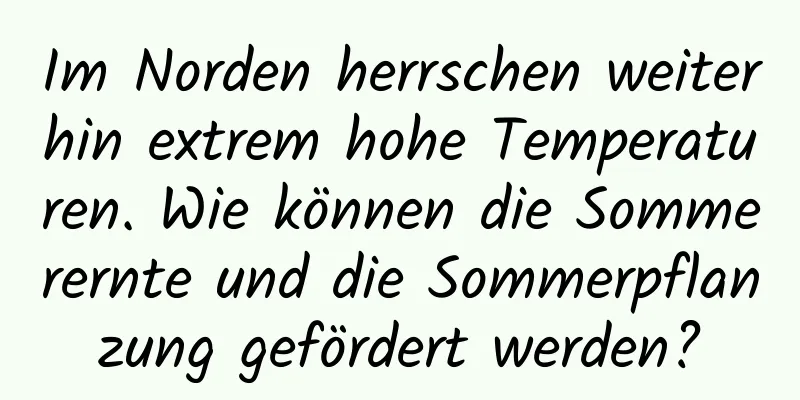 Im Norden herrschen weiterhin extrem hohe Temperaturen. Wie können die Sommerernte und die Sommerpflanzung gefördert werden?