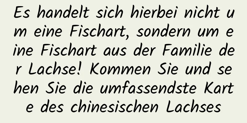 Es handelt sich hierbei nicht um eine Fischart, sondern um eine Fischart aus der Familie der Lachse! Kommen Sie und sehen Sie die umfassendste Karte des chinesischen Lachses