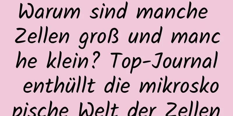 Warum sind manche Zellen groß und manche klein? Top-Journal enthüllt die mikroskopische Welt der Zellen