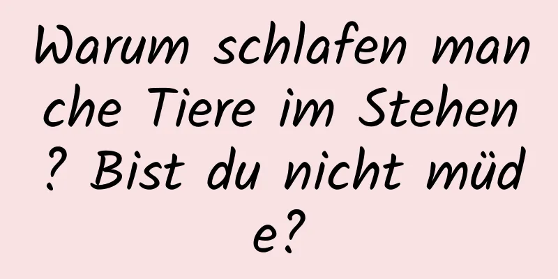 Warum schlafen manche Tiere im Stehen? Bist du nicht müde?