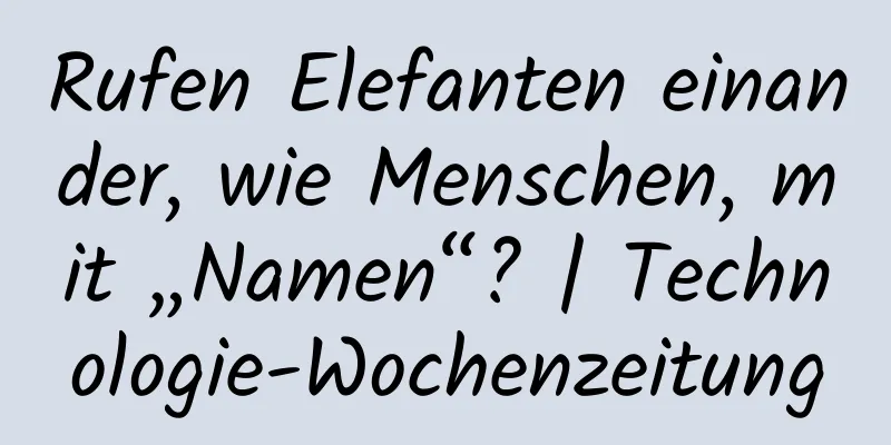 Rufen Elefanten einander, wie Menschen, mit „Namen“? | Technologie-Wochenzeitung