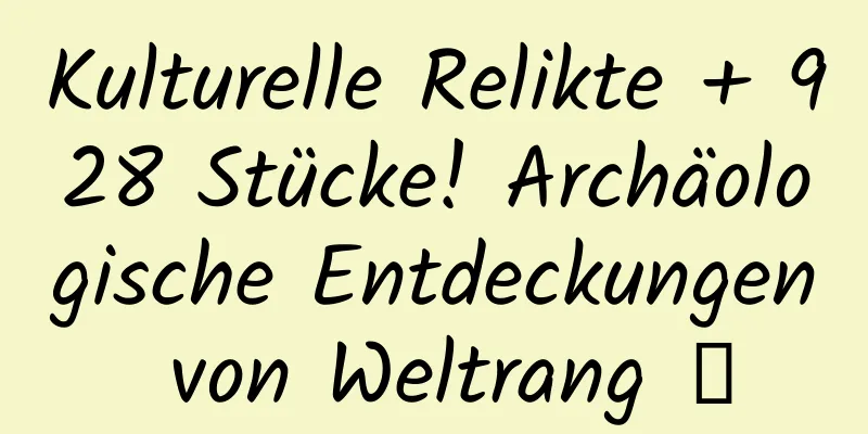 Kulturelle Relikte + 928 Stücke! Archäologische Entdeckungen von Weltrang →