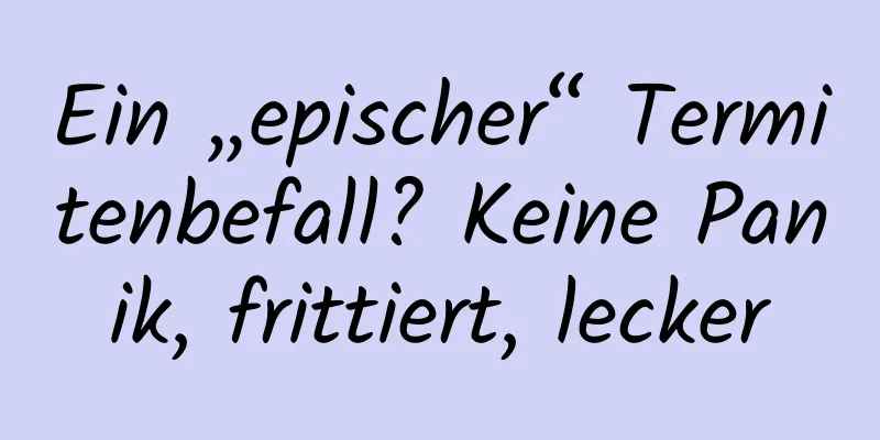 Ein „epischer“ Termitenbefall? Keine Panik, frittiert, lecker