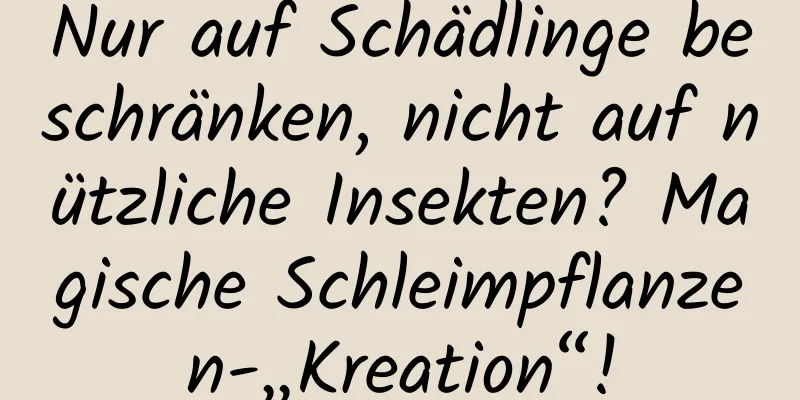 Nur auf Schädlinge beschränken, nicht auf nützliche Insekten? Magische Schleimpflanzen-„Kreation“!