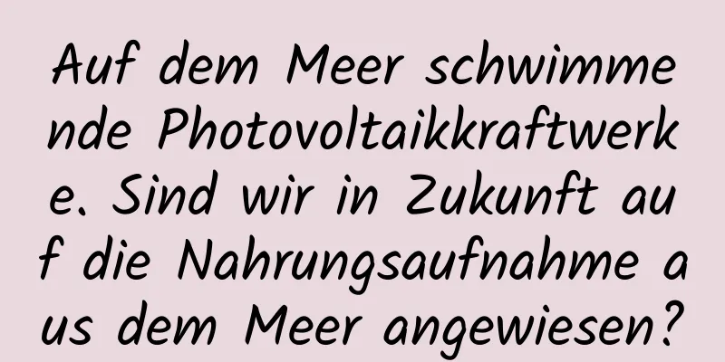 Auf dem Meer schwimmende Photovoltaikkraftwerke. Sind wir in Zukunft auf die Nahrungsaufnahme aus dem Meer angewiesen?