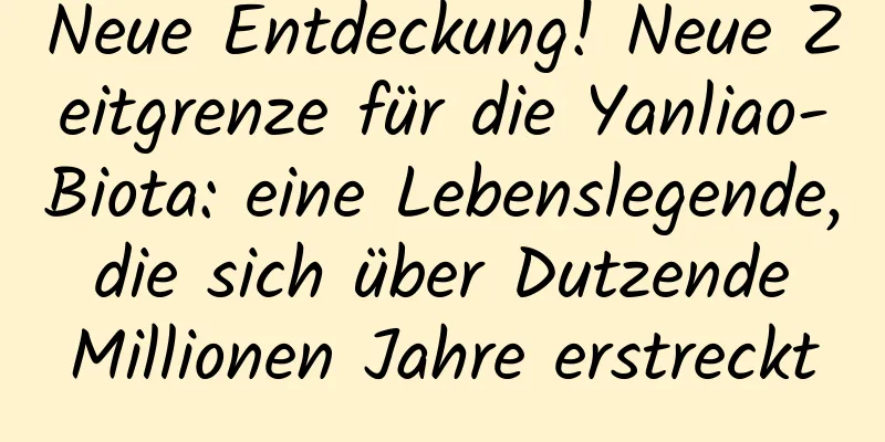 Neue Entdeckung! Neue Zeitgrenze für die Yanliao-Biota: eine Lebenslegende, die sich über Dutzende Millionen Jahre erstreckt