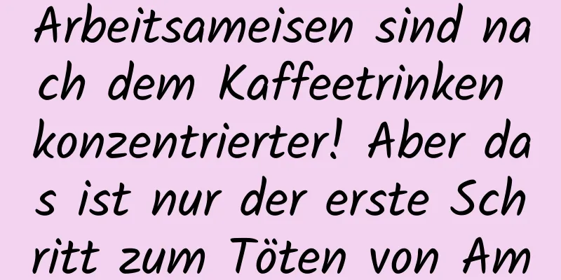 Arbeitsameisen sind nach dem Kaffeetrinken konzentrierter! Aber das ist nur der erste Schritt zum Töten von Ameisen | Naturtrompete