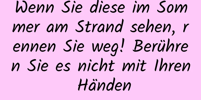 Wenn Sie diese im Sommer am Strand sehen, rennen Sie weg! Berühren Sie es nicht mit Ihren Händen