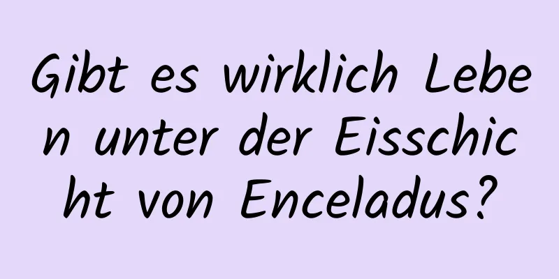 Gibt es wirklich Leben unter der Eisschicht von Enceladus?