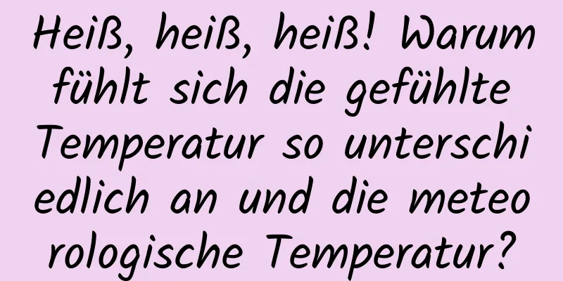 Heiß, heiß, heiß! Warum fühlt sich die gefühlte Temperatur so unterschiedlich an und die meteorologische Temperatur?