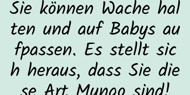 Sie können Wache halten und auf Babys aufpassen. Es stellt sich heraus, dass Sie diese Art Mungo sind!