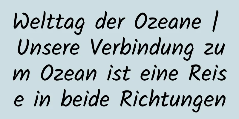 Welttag der Ozeane | Unsere Verbindung zum Ozean ist eine Reise in beide Richtungen