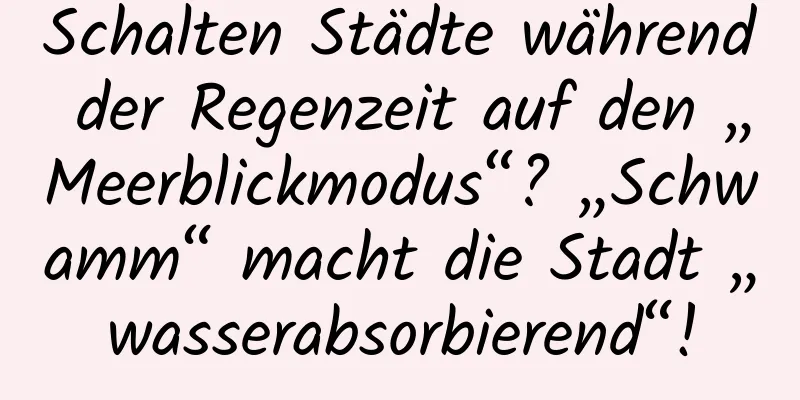 Schalten Städte während der Regenzeit auf den „Meerblickmodus“? „Schwamm“ macht die Stadt „wasserabsorbierend“!