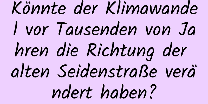 Könnte der Klimawandel vor Tausenden von Jahren die Richtung der alten Seidenstraße verändert haben?