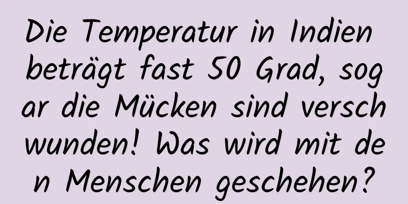 Die Temperatur in Indien beträgt fast 50 Grad, sogar die Mücken sind verschwunden! Was wird mit den Menschen geschehen?