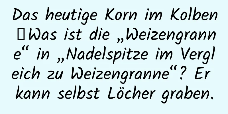 Das heutige Korn im Kolben｜Was ist die „Weizengranne“ in „Nadelspitze im Vergleich zu Weizengranne“? Er kann selbst Löcher graben.
