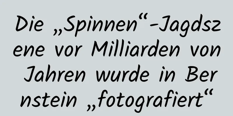 Die „Spinnen“-Jagdszene vor Milliarden von Jahren wurde in Bernstein „fotografiert“