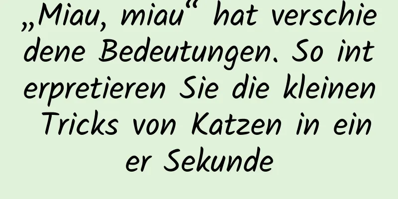 „Miau, miau“ hat verschiedene Bedeutungen. So interpretieren Sie die kleinen Tricks von Katzen in einer Sekunde