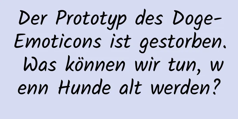 Der Prototyp des Doge-Emoticons ist gestorben. Was können wir tun, wenn Hunde alt werden?