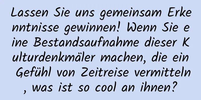 Lassen Sie uns gemeinsam Erkenntnisse gewinnen! Wenn Sie eine Bestandsaufnahme dieser Kulturdenkmäler machen, die ein Gefühl von Zeitreise vermitteln, was ist so cool an ihnen?