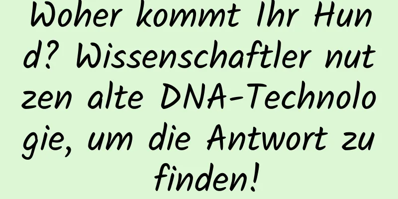 Woher kommt Ihr Hund? Wissenschaftler nutzen alte DNA-Technologie, um die Antwort zu finden!