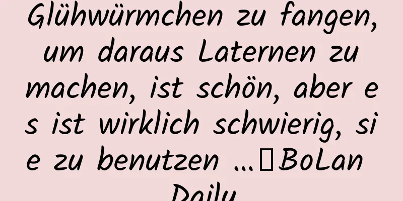 Glühwürmchen zu fangen, um daraus Laternen zu machen, ist schön, aber es ist wirklich schwierig, sie zu benutzen …｜BoLan Daily