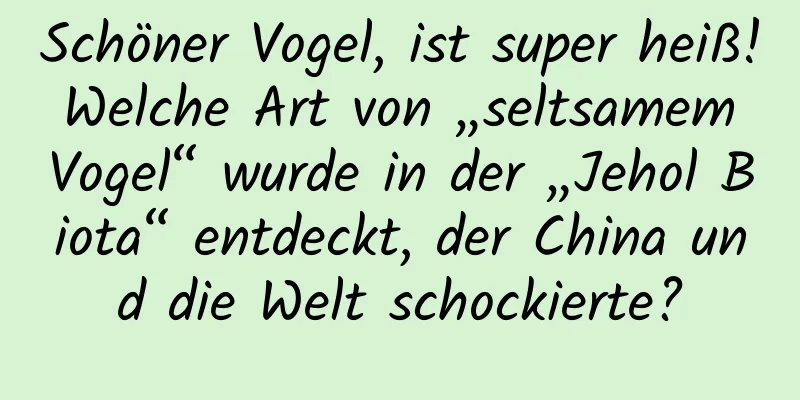 Schöner Vogel, ist super heiß! Welche Art von „seltsamem Vogel“ wurde in der „Jehol Biota“ entdeckt, der China und die Welt schockierte?