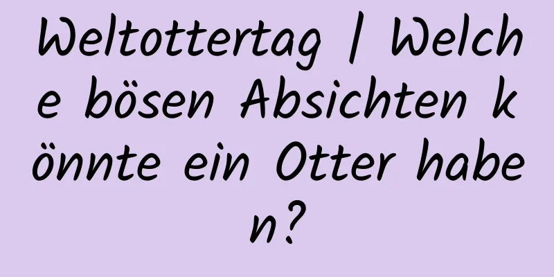 Weltottertag | Welche bösen Absichten könnte ein Otter haben?