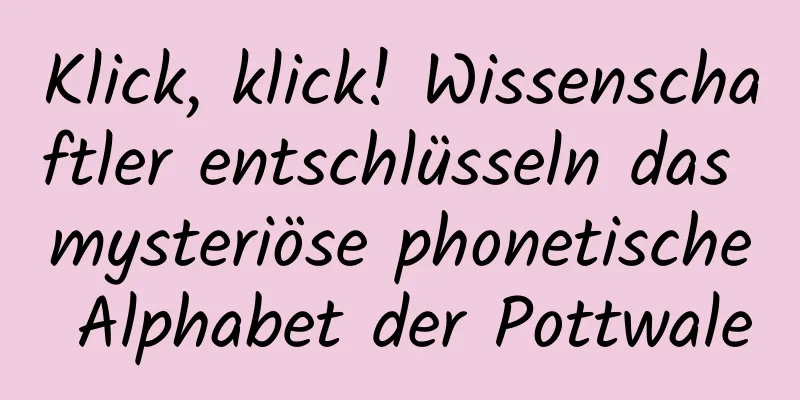 Klick, klick! Wissenschaftler entschlüsseln das mysteriöse phonetische Alphabet der Pottwale