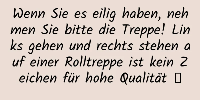 Wenn Sie es eilig haben, nehmen Sie bitte die Treppe! Links gehen und rechts stehen auf einer Rolltreppe ist kein Zeichen für hohe Qualität →