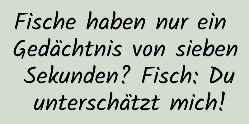 Fische haben nur ein Gedächtnis von sieben Sekunden? Fisch: Du unterschätzt mich!