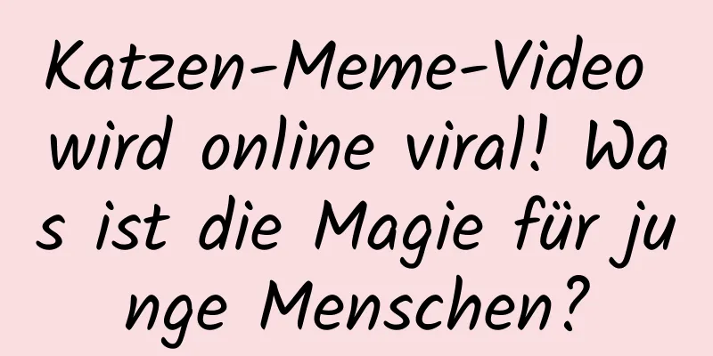 Katzen-Meme-Video wird online viral! Was ist die Magie für junge Menschen?