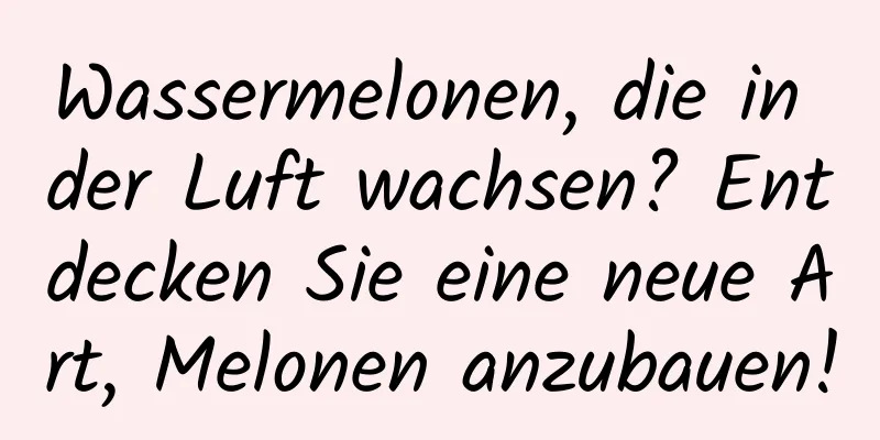 Wassermelonen, die in der Luft wachsen? Entdecken Sie eine neue Art, Melonen anzubauen!