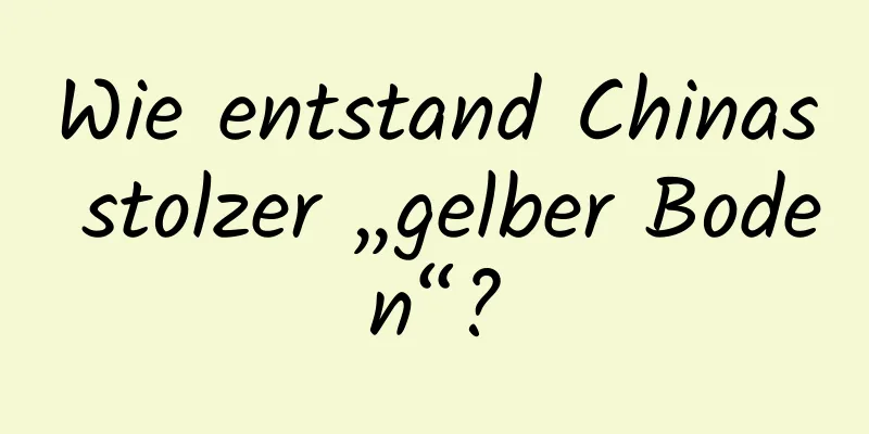 Wie entstand Chinas stolzer „gelber Boden“?