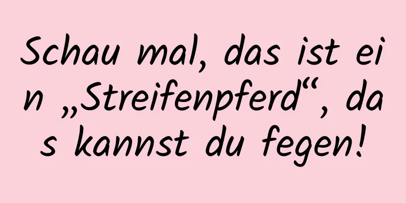 Schau mal, das ist ein „Streifenpferd“, das kannst du fegen!