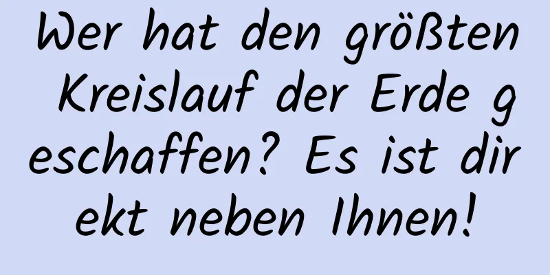 Wer hat den größten Kreislauf der Erde geschaffen? Es ist direkt neben Ihnen!