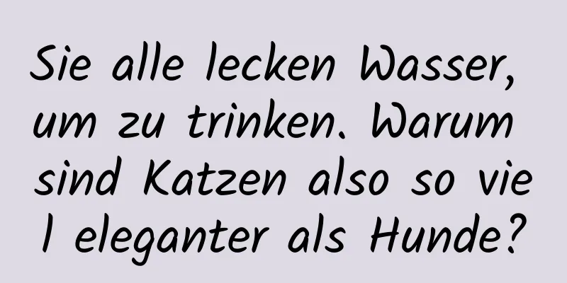 Sie alle lecken Wasser, um zu trinken. Warum sind Katzen also so viel eleganter als Hunde?