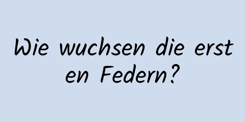 Wie wuchsen die ersten Federn?