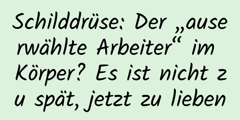 Schilddrüse: Der „auserwählte Arbeiter“ im Körper? Es ist nicht zu spät, jetzt zu lieben