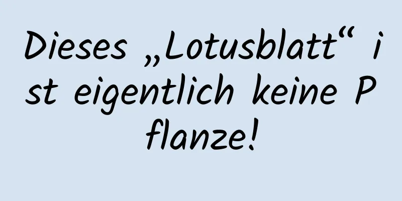 Dieses „Lotusblatt“ ist eigentlich keine Pflanze!
