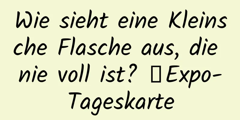 Wie sieht eine Kleinsche Flasche aus, die nie voll ist? ｜Expo-Tageskarte