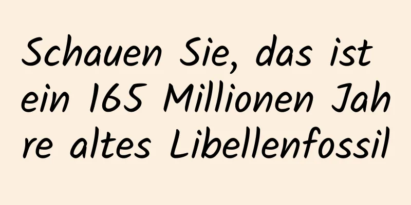Schauen Sie, das ist ein 165 Millionen Jahre altes Libellenfossil