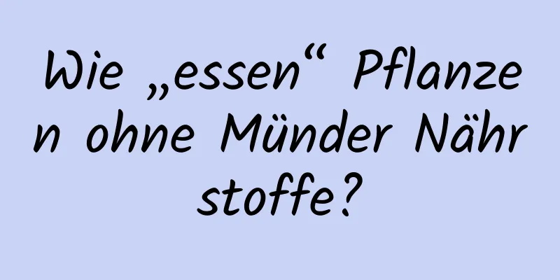 Wie „essen“ Pflanzen ohne Münder Nährstoffe?