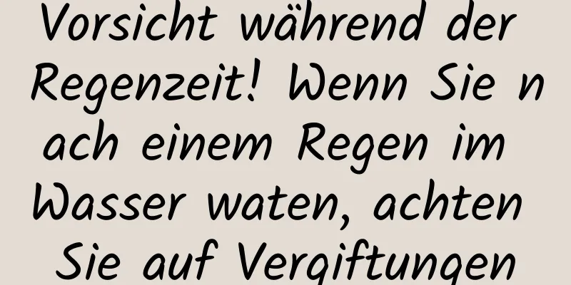 Vorsicht während der Regenzeit! Wenn Sie nach einem Regen im Wasser waten, achten Sie auf Vergiftungen